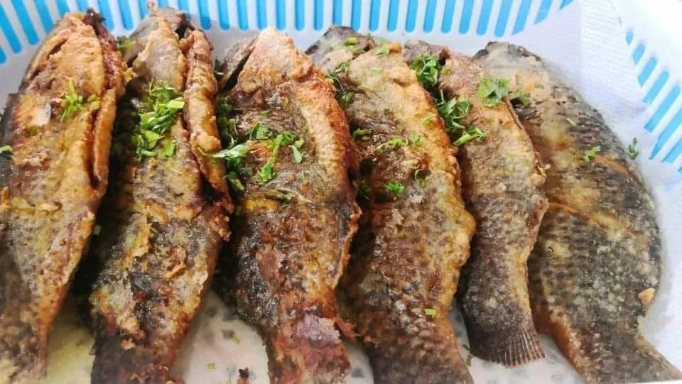 Fried Fish with Rice & Tahini