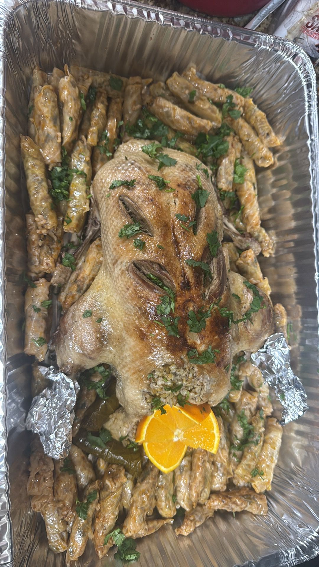 Stuffed Duck